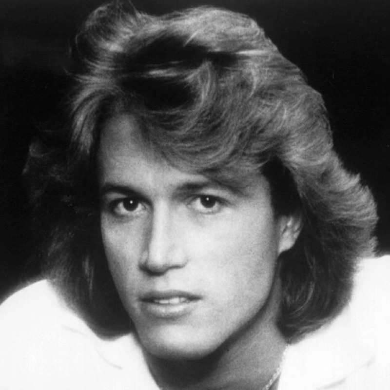 artist image Andy Gibb I Just Want To Be Your Everything Flowing Rivers
